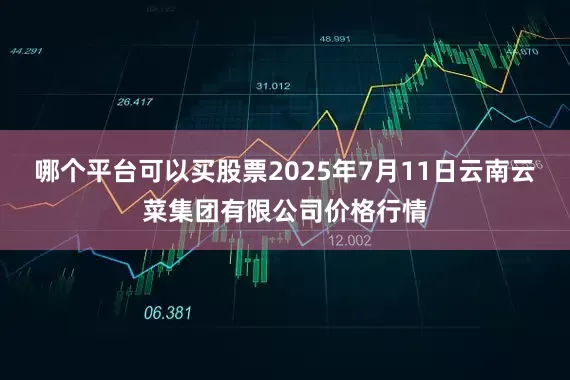 哪个平台可以买股票2025年7月11日云南云菜集团有限公司价格行情